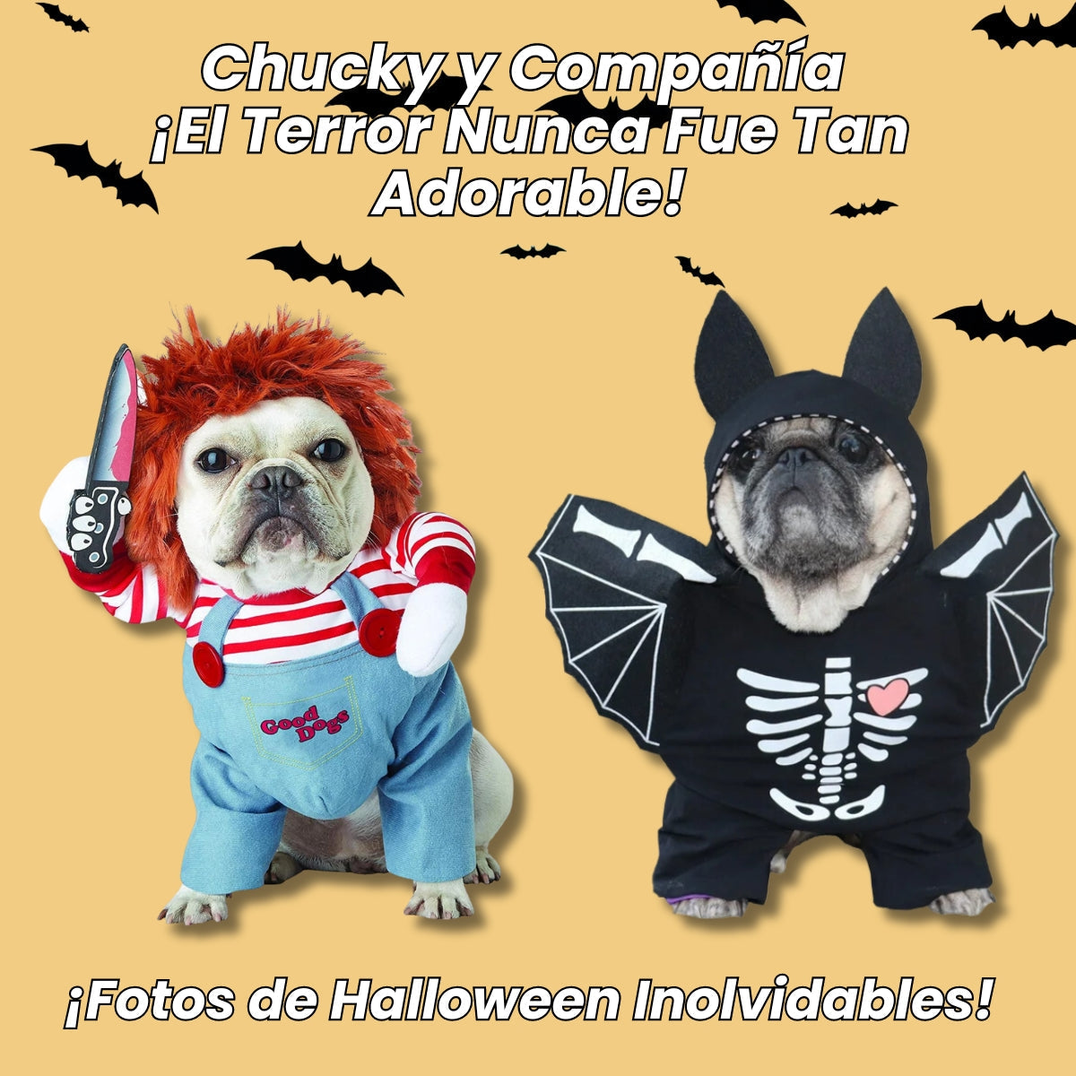 Disfraces Para Perros Y Gatos Únicos Para Este Halloween