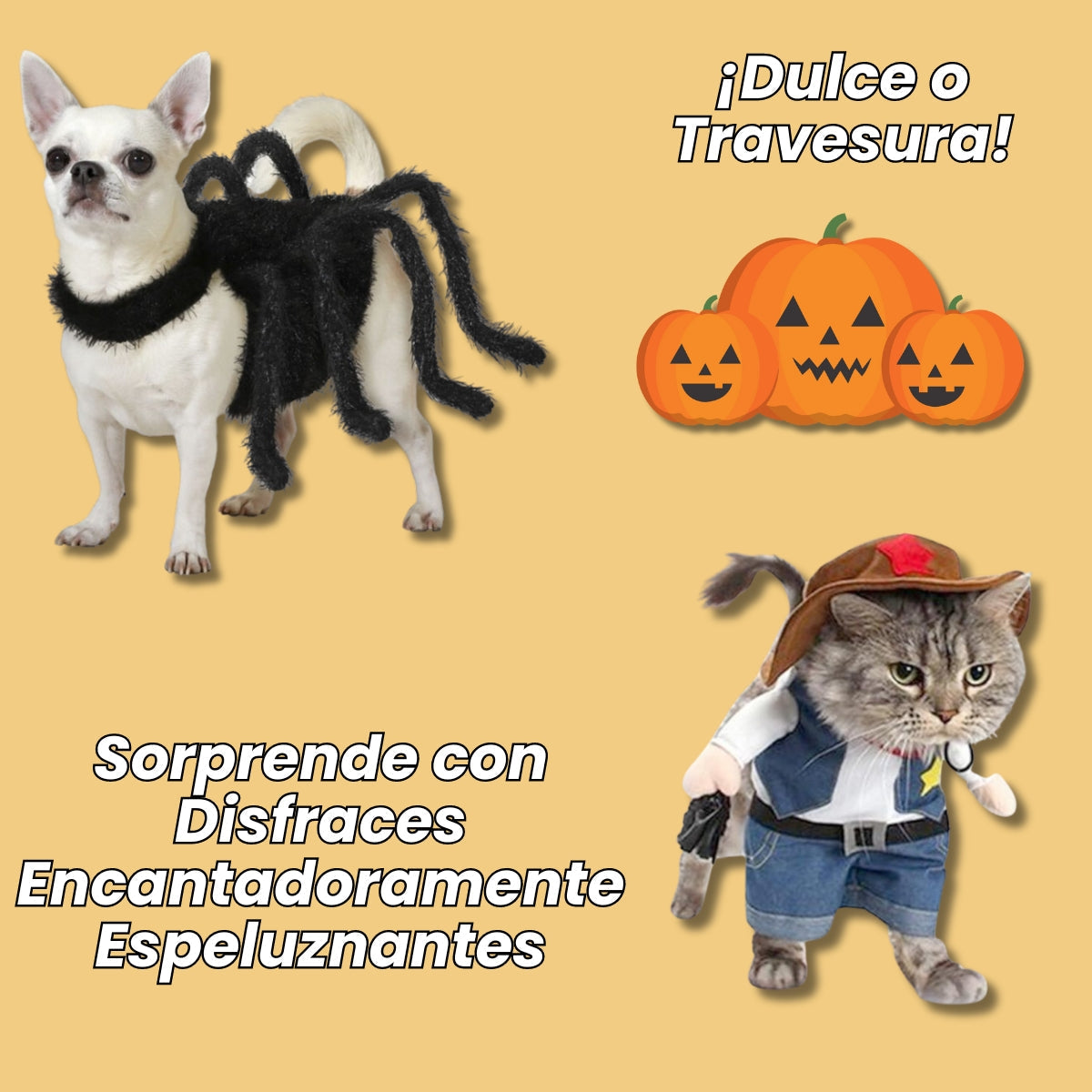 Disfraces Para Perros Y Gatos Únicos Para Este Halloween