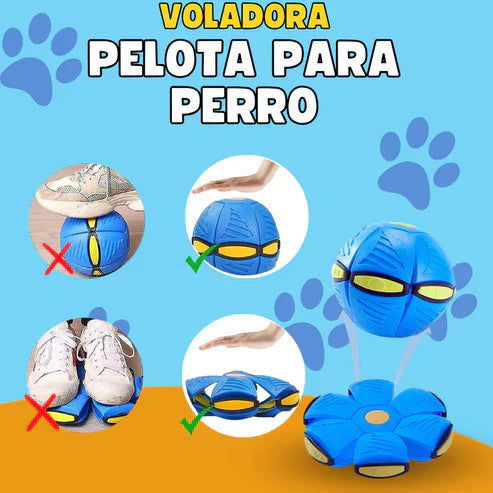 FlyBall™: Pelota Frisbee para perros 🔥OFERTA 2X1🔥