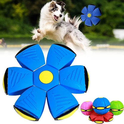 FlyBall™: Pelota Frisbee para perros 🔥OFERTA 2X1🔥