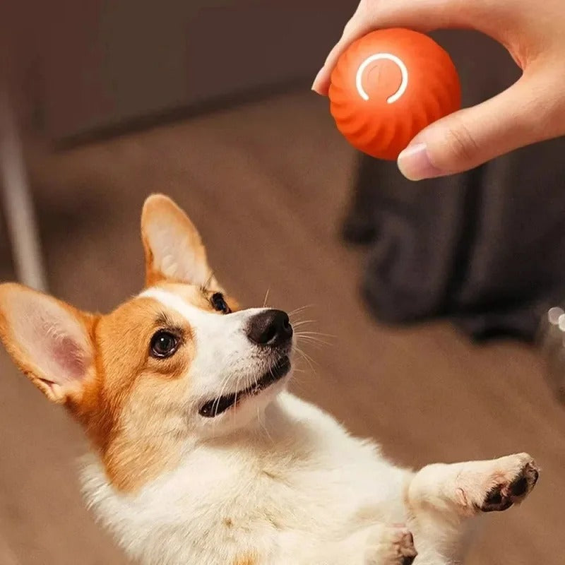 GRAVITY BALL™ Pelota Inteligente para mascotas