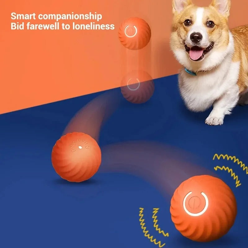 GRAVITY BALL™ Pelota Inteligente para mascotas