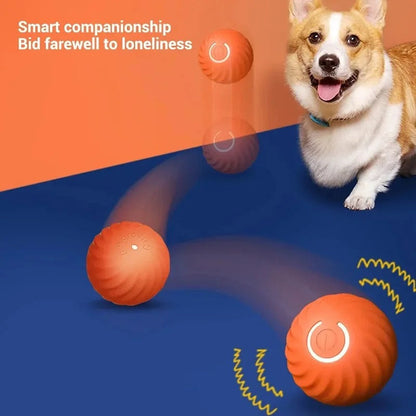 GRAVITY BALL™ Pelota Inteligente para mascotas